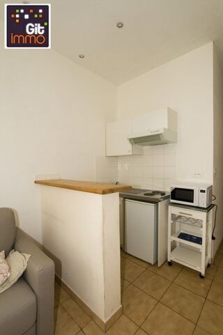  Appartement à louer 1 pièce 17 m²
