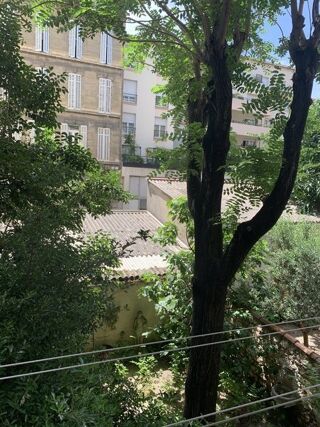  Appartement � louer 3 pi�ces 76 m�