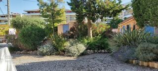  Appartement à louer 1 pièce 20 m²
