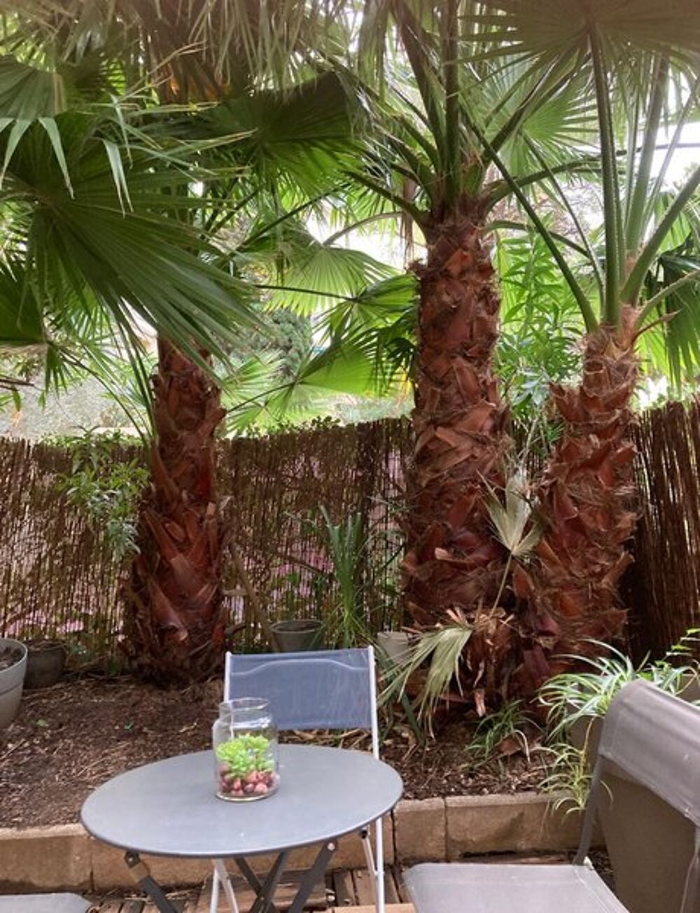 location Appartement - 1 pièce(s) - 30 m² Marseille 1