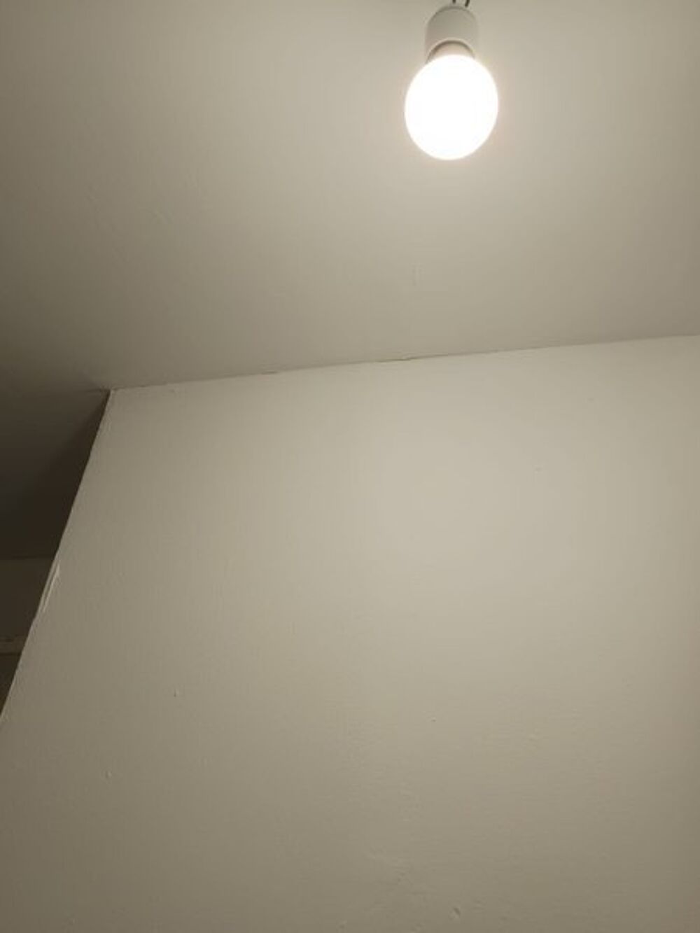 Location Appartement 1 pièce 27 m² - Mehr