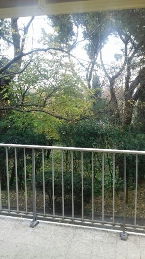  Appartement � louer 1 pi�ce 28 m�