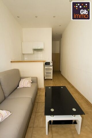  Appartement à louer 1 pièce 17 m²
