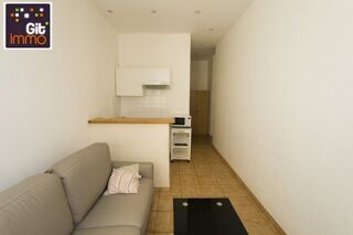  Appartement à louer 1 pièce 17 m²
