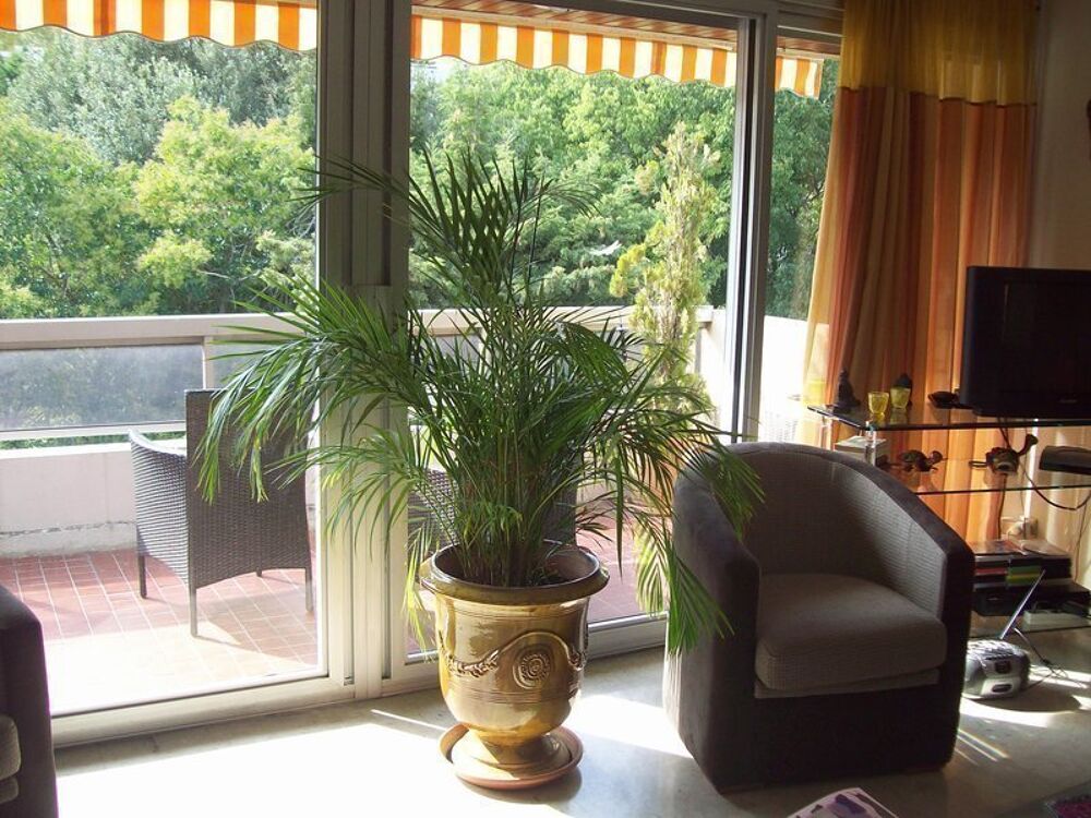 location Appartement - 4 pièce(s) - 95 m² Marseille 8