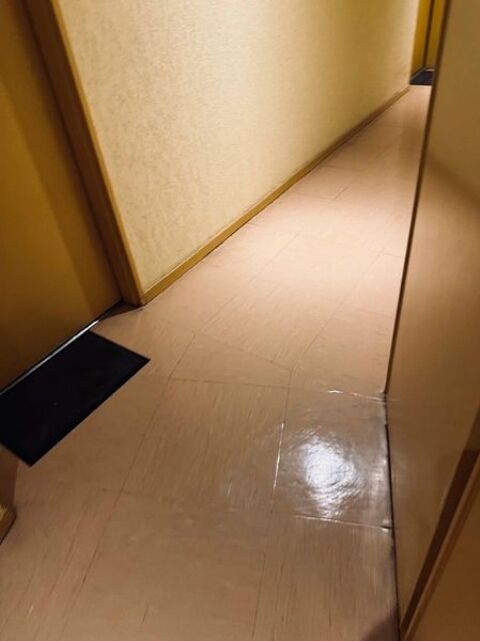  Appartement � louer 3 pi�ces 48 m�