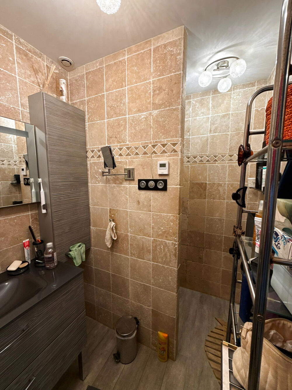 à vendre  Propriété/château Belleville (69220)