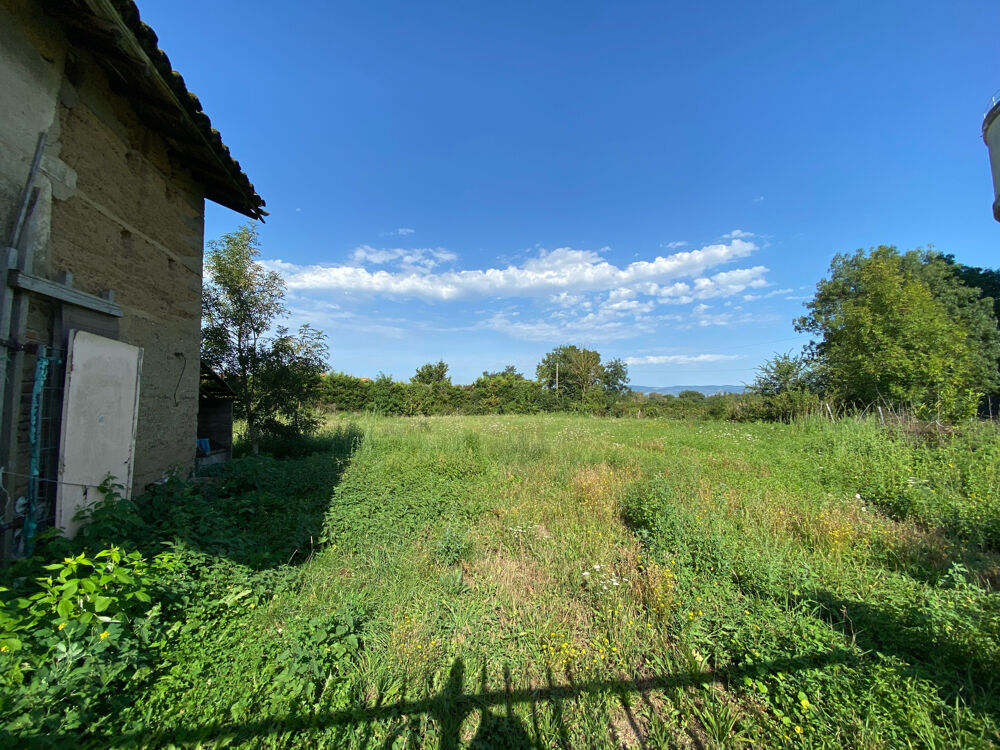 SECTEUR BELLEVILLE/ MONTMERLE - FERME A RENOVER AVEC DEPENDANCES - TERRAIN ARBORE PLAT DE 1490 M2
