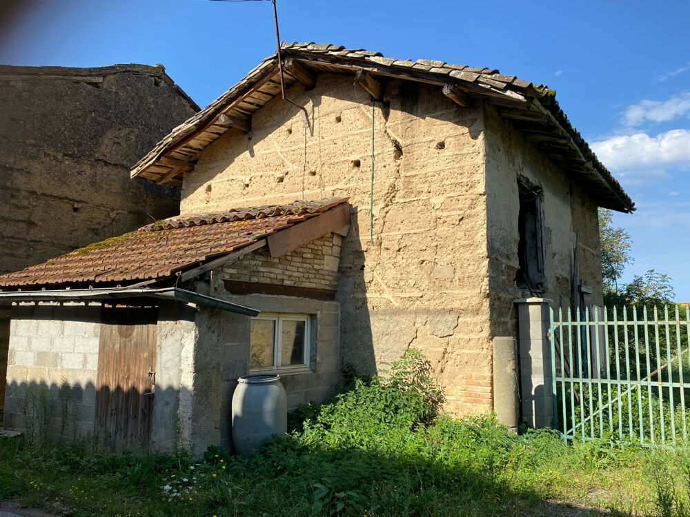 SECTEUR BELLEVILLE/ MONTMERLE - FERME A RENOVER AVEC DEPENDANCES - TERRAIN ARBORE PLAT DE 1490 M2