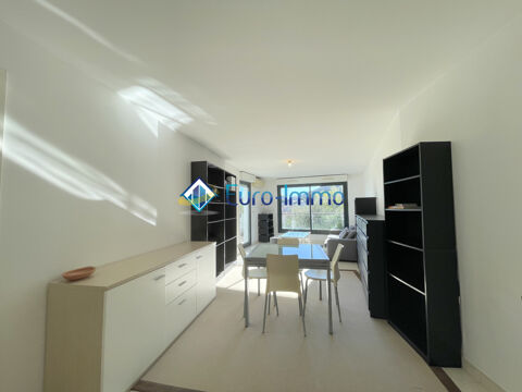  Appartement � louer 2 pi�ces 50 m�