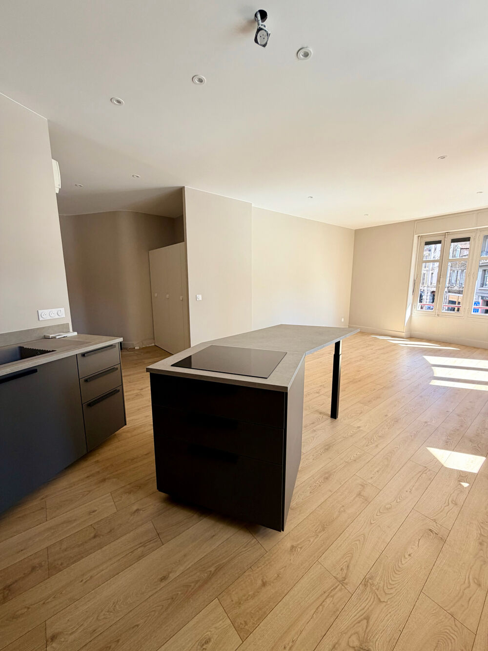 Location Appartement GRENOBLE   Place Paul de l'Étoile   T3 rénové   70 m2   Location vide Grenoble