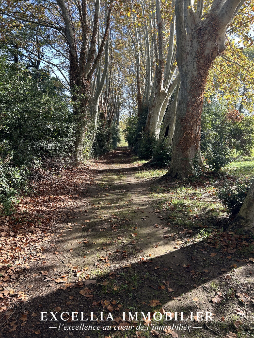 à vendre  Propriété/château Entressen (13118)