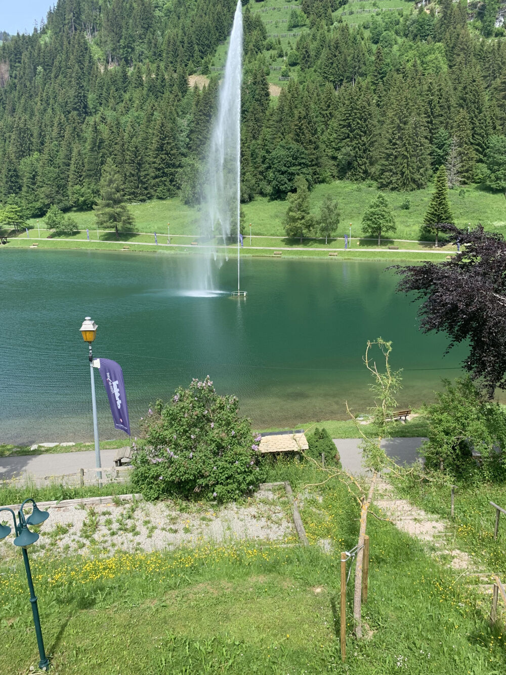  vendre  Chalet Chtel (74390)