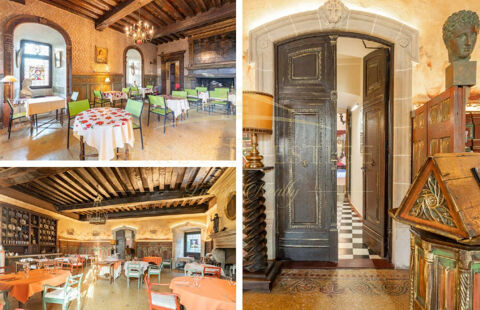 Vente Propri�t�/Ch�teau Rives du L�man Ch�teau d'Exception -  15 minutes de THONON LES BAINS Sciez