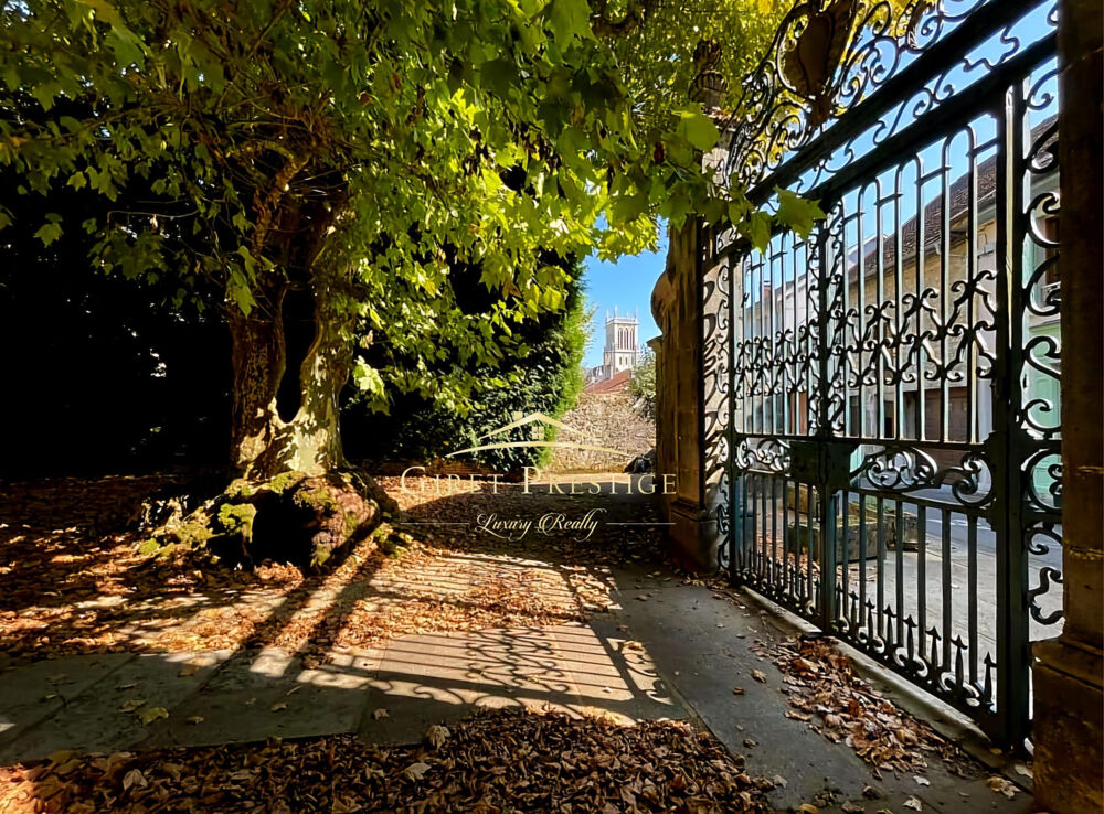 Maison de Maître au coeur de BELLEY