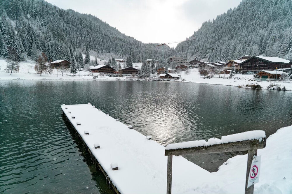  vendre  Chalet Chtel (74390)