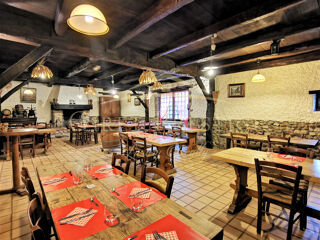  Propri�t�/ch�teau � vendre 12 pi�ces 380 m�