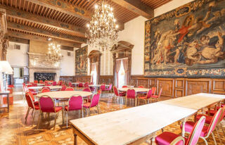  Propriété/château à vendre 15 + pièces 2882 m²