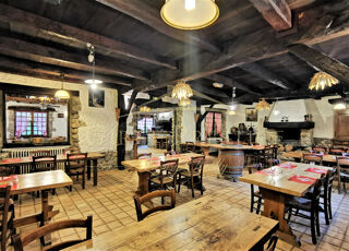  Propri�t�/ch�teau � vendre 12 pi�ces 380 m�