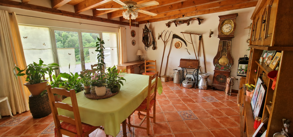 Vente Maison Viager occupé Maison dans un écrin de verdure sur le plateau d'Hauteville Plateau d hauteville