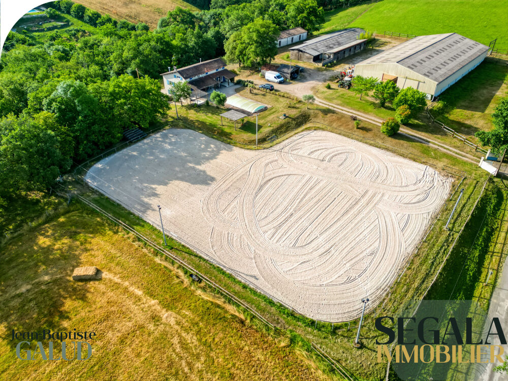 Vente Maison Propriété équestre avec gîtes   275 m2 habitables   Terrain de 43 474 m2 Monesties