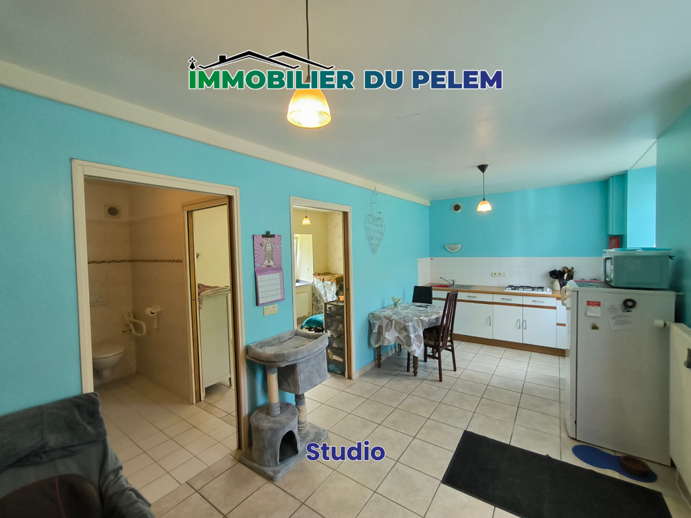 Vente Maison Ensemble immobilier à fort potentiel au cœur de Locarn Locarn