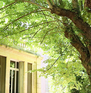  Propri�t�/ch�teau � vendre 12 pi�ces 540 m�