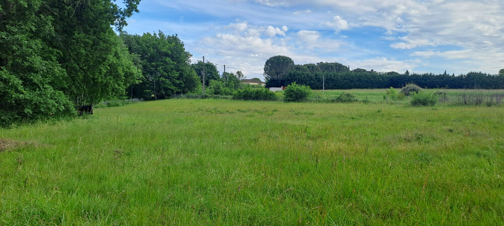 MAISON T5 A RAFRAICHIR AVEC TERRAIN BOISE DE 9100 M2
