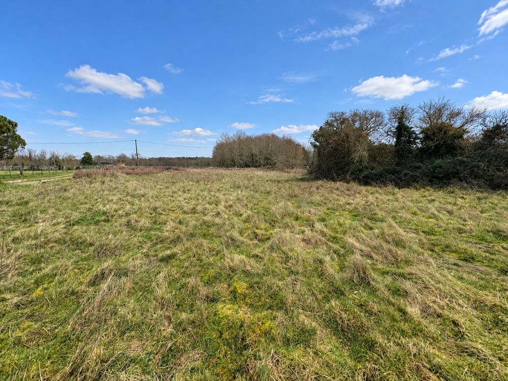 Vente Terrain Terrain constructible de 5280m2 St aubin de blaye