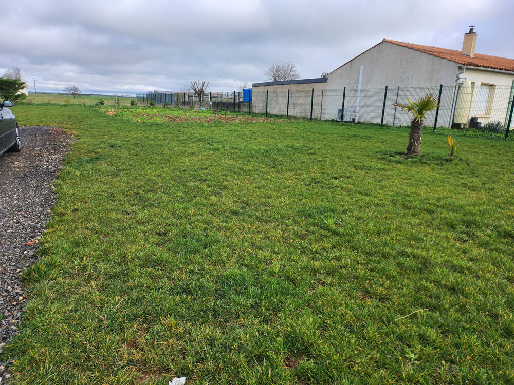 Vente Terrain Terrain constructible Nalliers