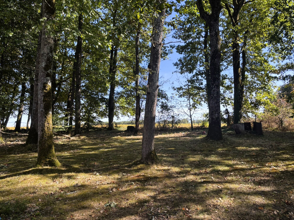 SAINT-HILAIRE-LES-ANDRESIS