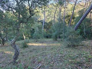  Terrain à vendre 1500 m²
