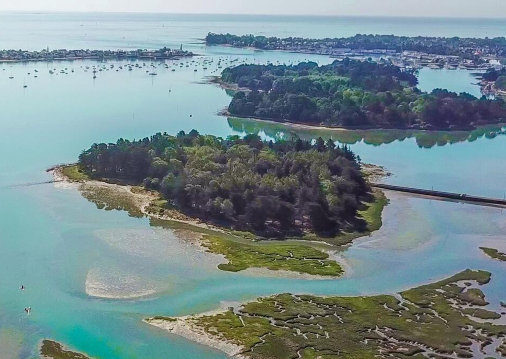 � vendre  Propri�t�/ch�teau Pont-l'Abb� (29120)