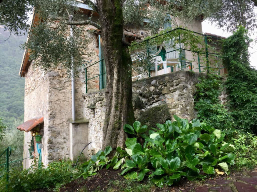 Maison mitoyenne avec piscine dans les oliviers