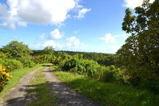  Maison � vendre 11 pi�ces 403 m�