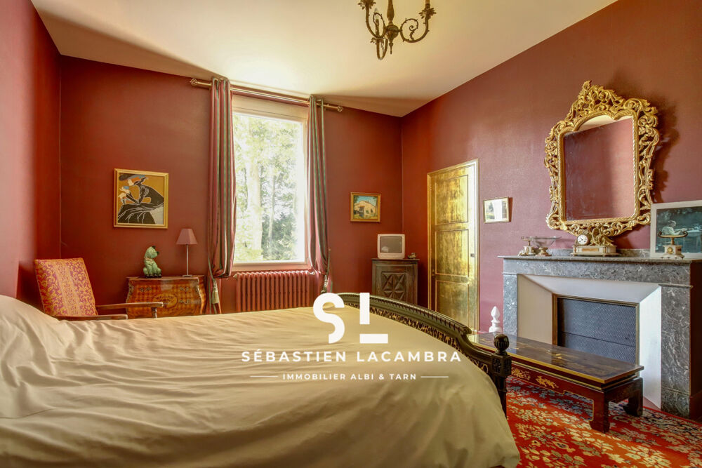  vendre  Proprit/chteau Rivires (81600)