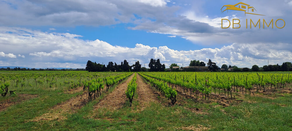 Vente Terrain Cru Cairanne, parcelles de vigne sur 2 ha Cairanne