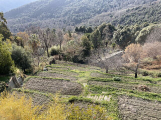  Appartement � vendre 5 pi�ces 120 m�