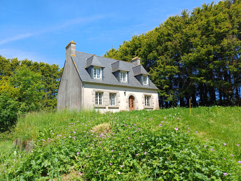 Plougasnou, proximité bourg, maison 4 chambres, bureau, sous sol total, sur 2500 m2 de terrain.