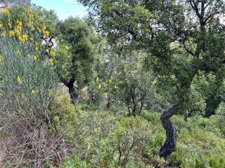  Terrain � vendre 1500 m�