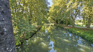  Maison  vendre 15 + pices 600 m