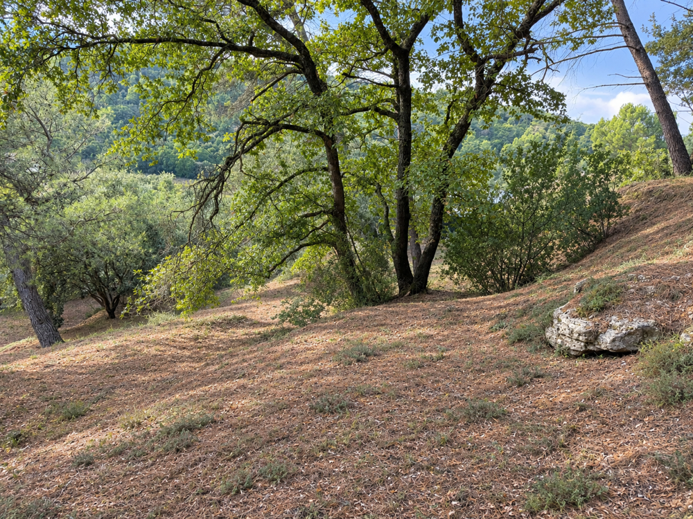 Vente Terrain Terrain rare à Ménerbes Menerbes