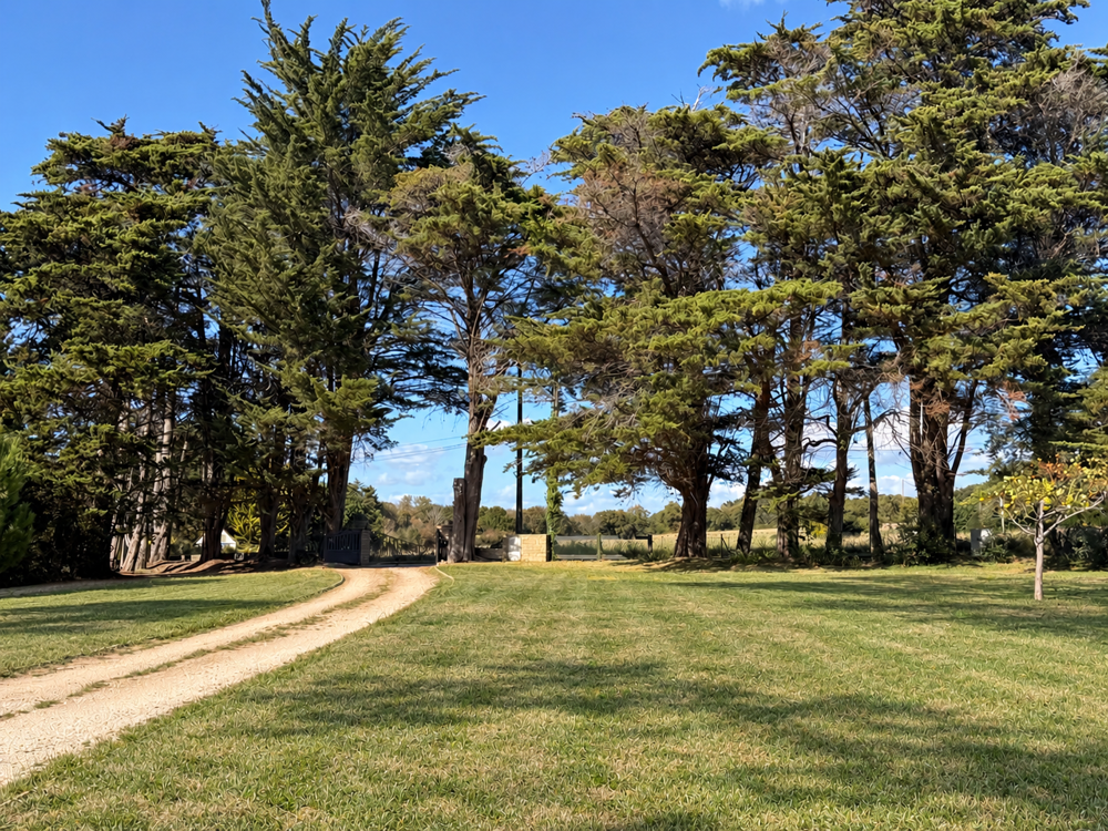 Vente Propriété/Château Propriété Vue Mer - 6 chambres - Plus de 7 000 m2 de terrain Sarzeau