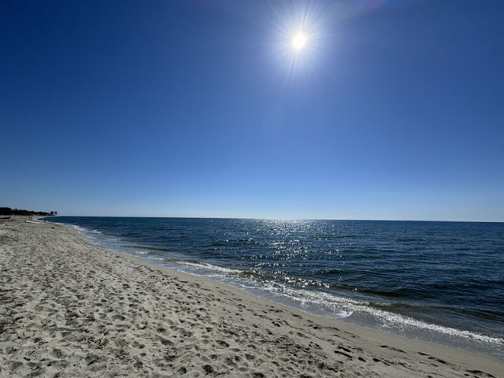 Vente Appartement Appartement avec jardin à moins de 100m de la plage - 158 000 €   Ghisonaccia Ghisonaccia