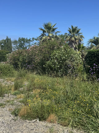  Terrain à vendre 570 m²
