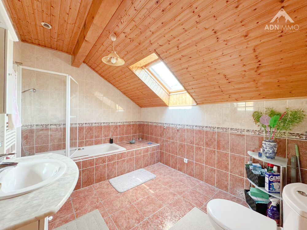 à vendre  Maison Sergy (01630)
