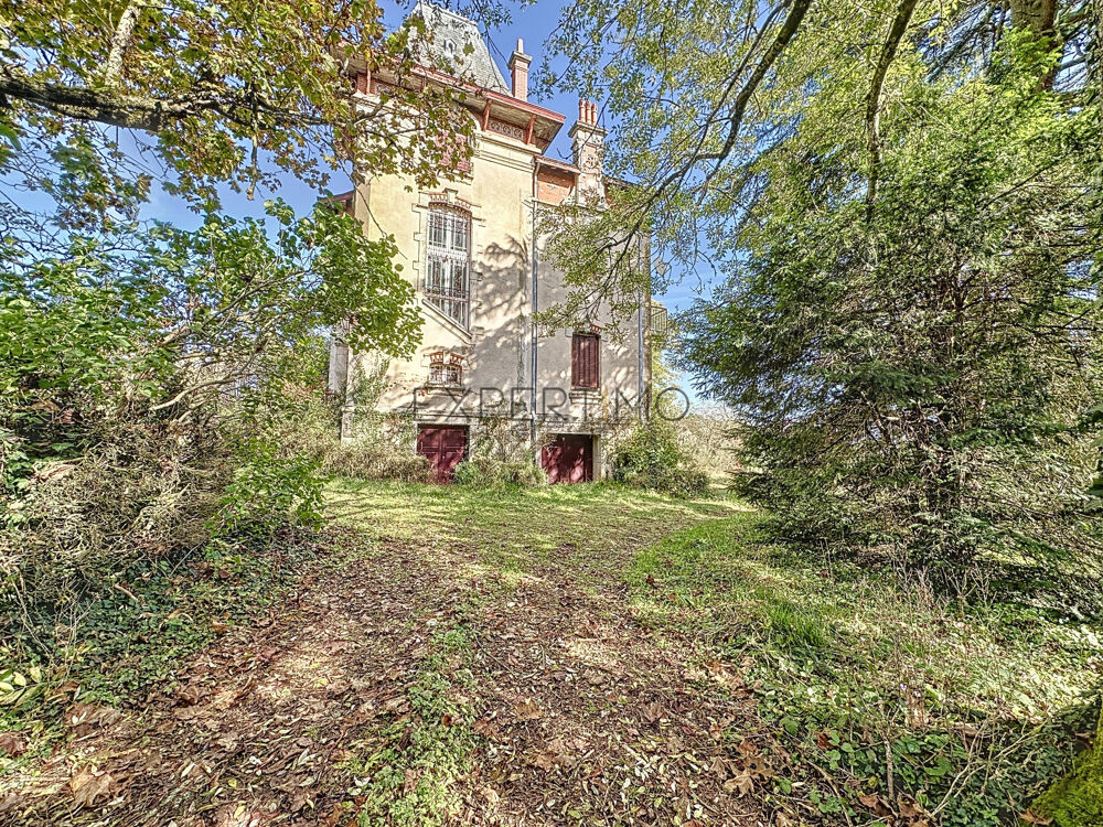 MAISON DE MAÎTRE 1906 VUE PANORAMIQUE EXCEPTIONNELLE SUR LA SAÔNE