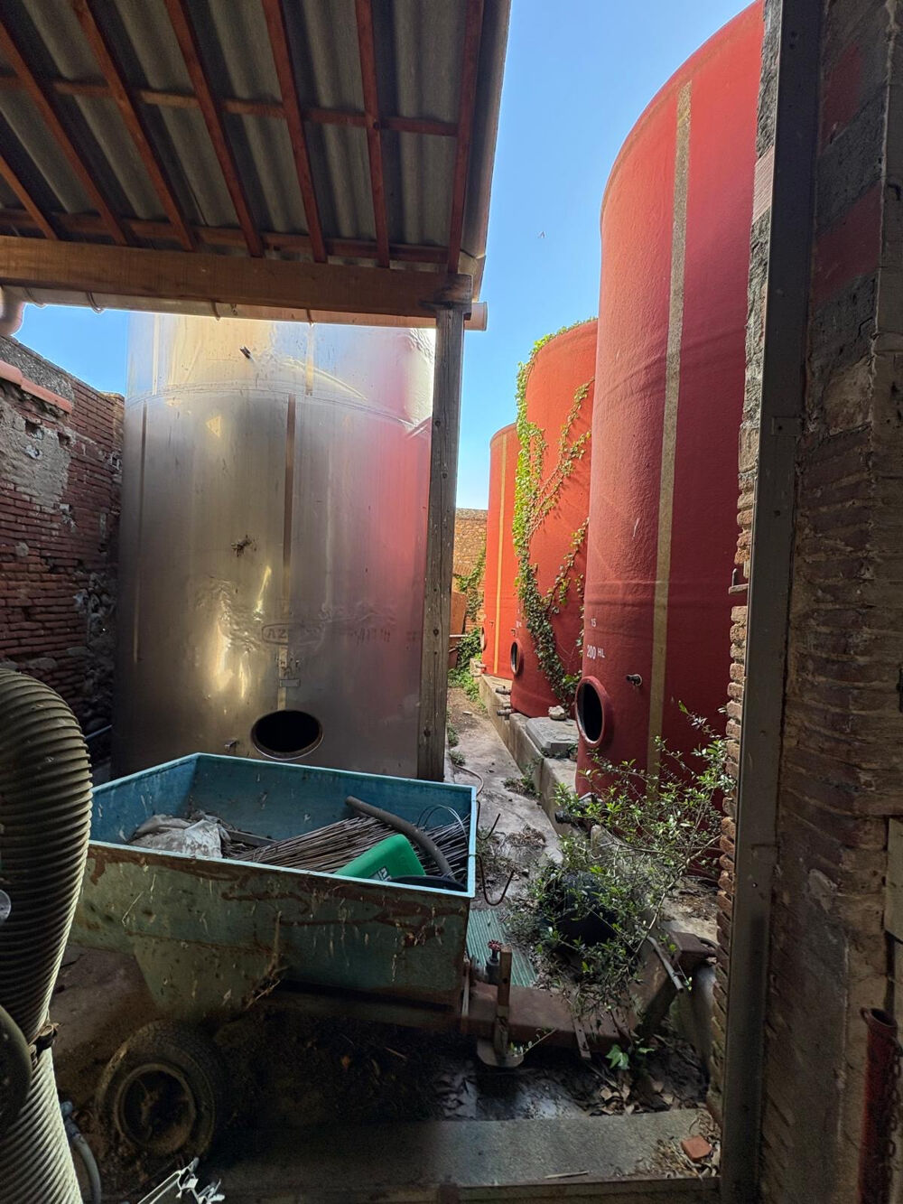 Vente Maison Cave de 500m2 Saint jean-Lasseille St jean lasseille