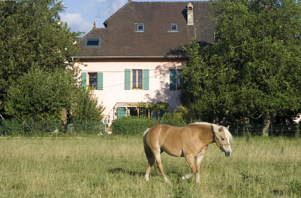 Maison de caractère en pierre 170 m2 Terrain 600 m2 Fillinges location d'une partie possible.