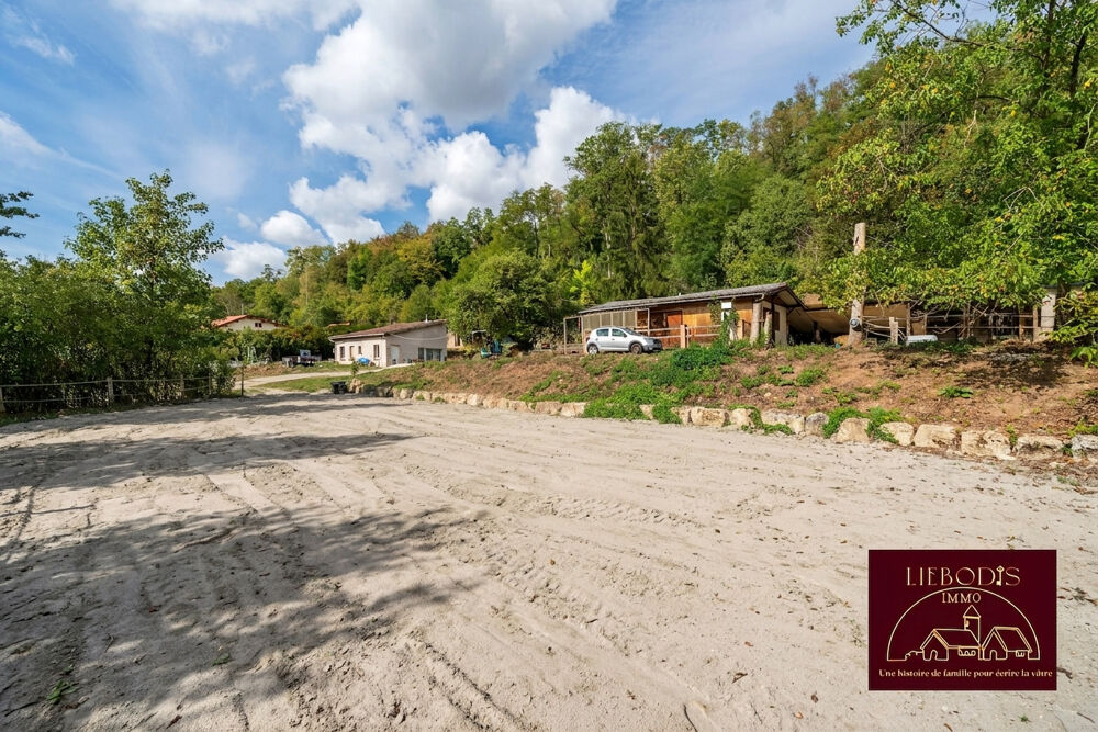 Vente Propriété/Château Maison indépendante sur 2.64 hectares avec pâtures et installations équestres Mangonville